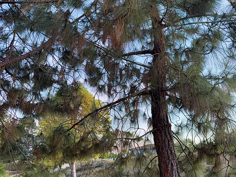 1981 Quiet Ranch Rd — Photo 43