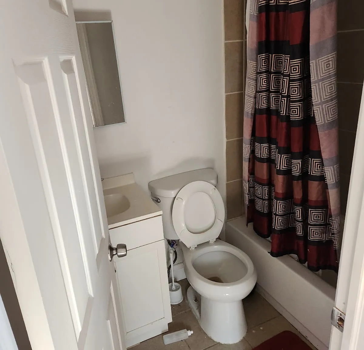 1 bed, $800 — Photo 2