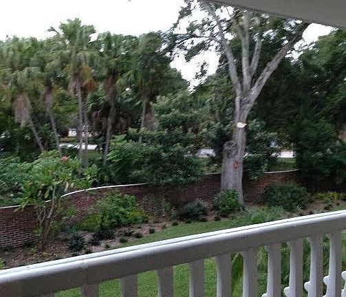 Balcony View 2
