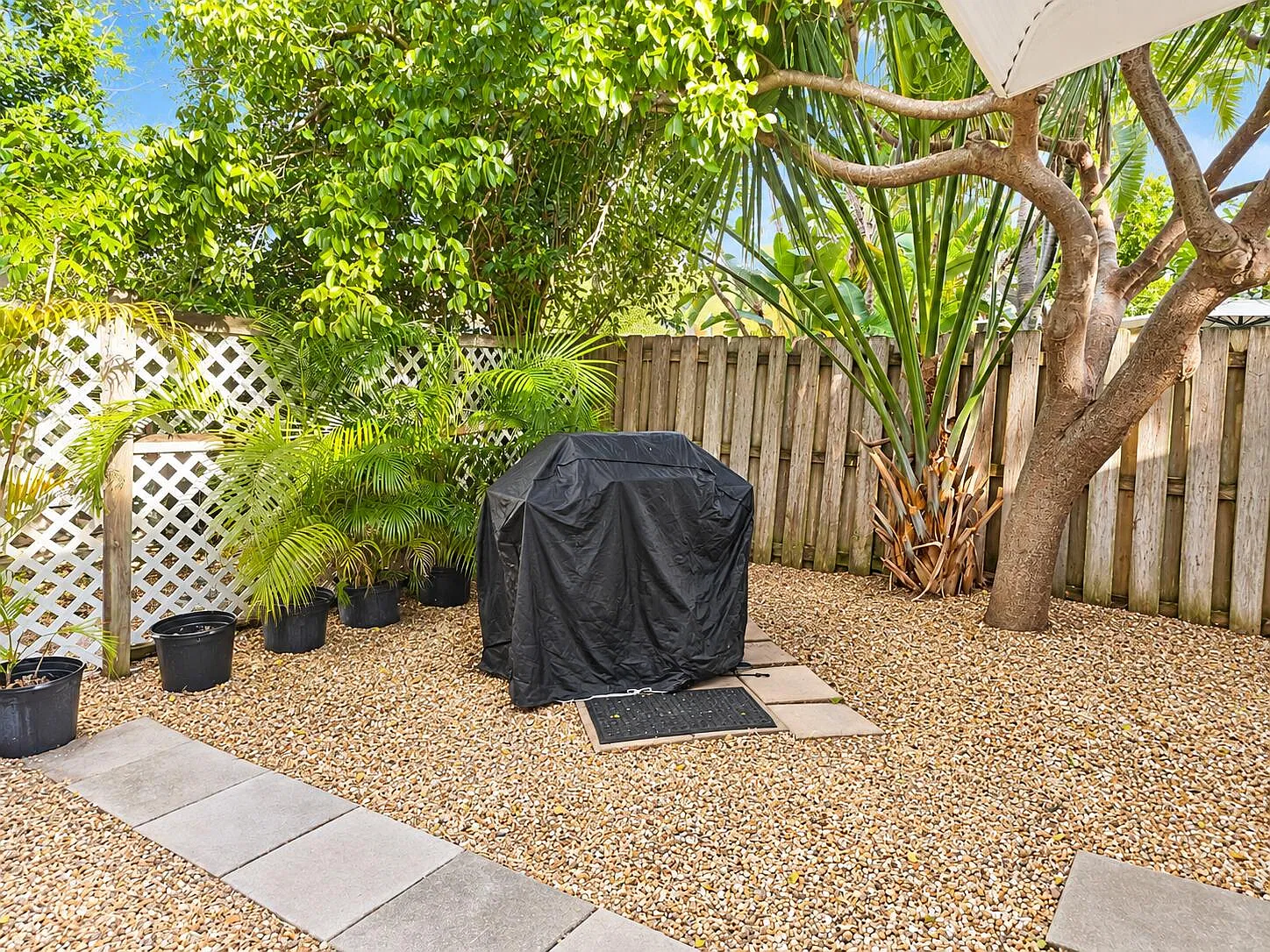 2 bed, 1.0 bath, 580 sqft, $1,950 — Photo 3