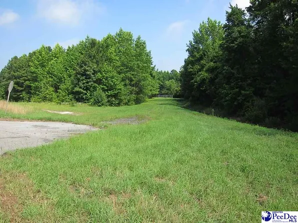 S Governor Williams Hwy, Darlington, SC 29532