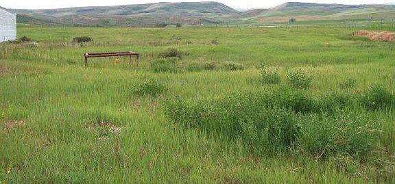 2nd image of 17035 Us Hwy 89