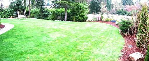 HUGE Yard!
