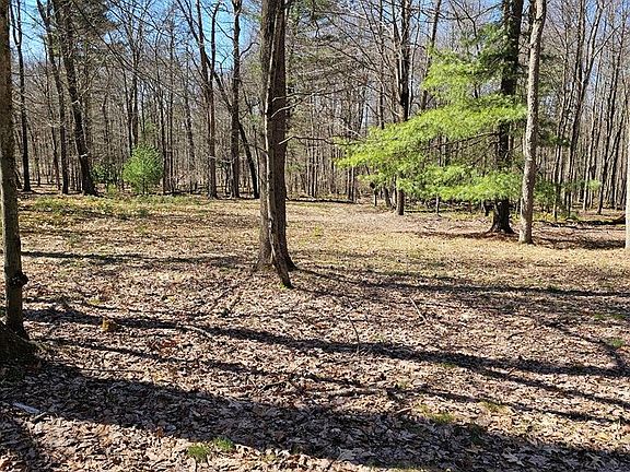 2nd image of 121 Danolee Rd