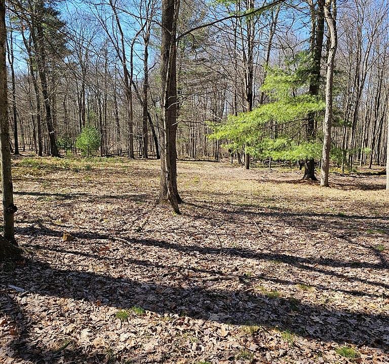2nd image of 121 Danolee Rd