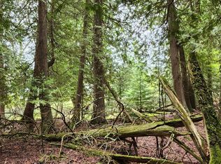 E Little Lasalle Rd, Cedarville, MI 49719