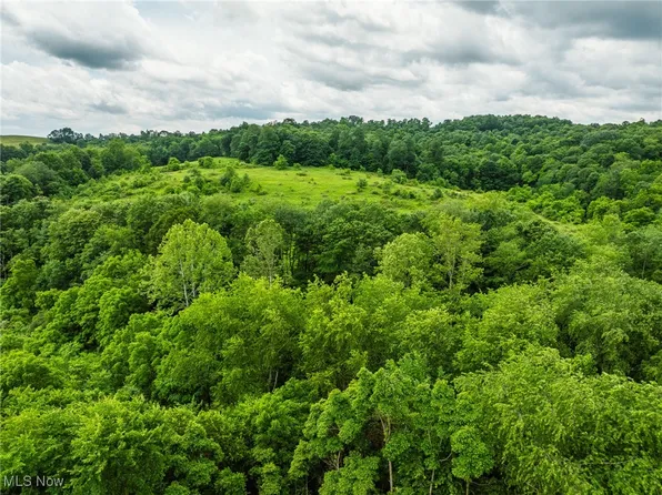 Township Road 219, Fresno, OH 43824