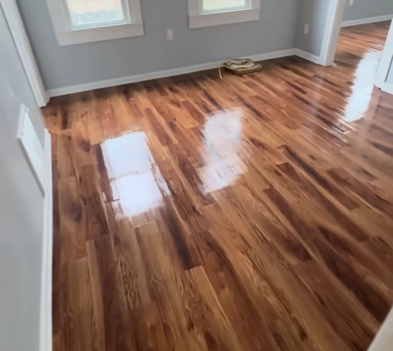 2 bed, 1000 sqft, $1,245 — Photo 3