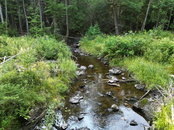 Lot 33-4 West Road, Springfield, ME 04487