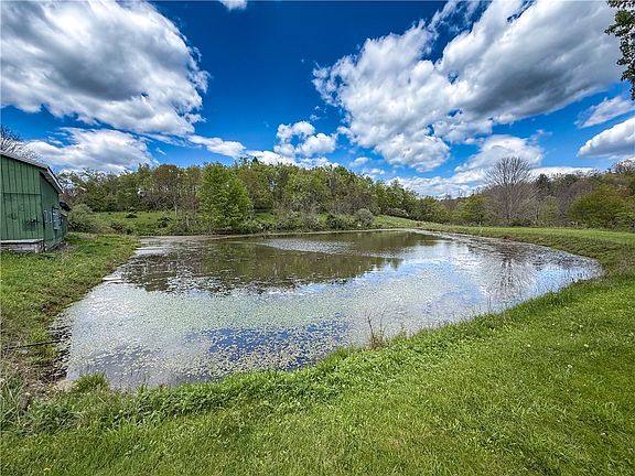 32nd image of 401 Beefalo Rd