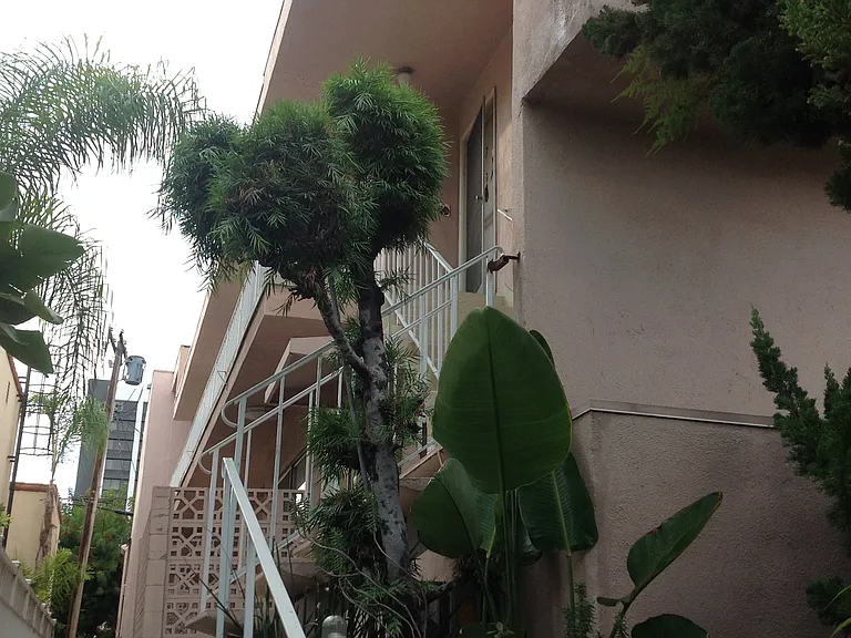 1125 Rexford Dr #3 — Photo 12