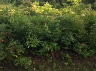 Leatherwood Rd, Oneida, TN 37841