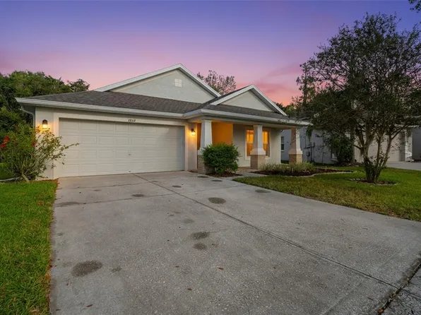 6809 Bluff Meadow Ct, Wesley Chapel, FL 33545
