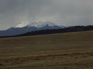 595 W Ranger Hill Rd, Hartsel, CO 80449