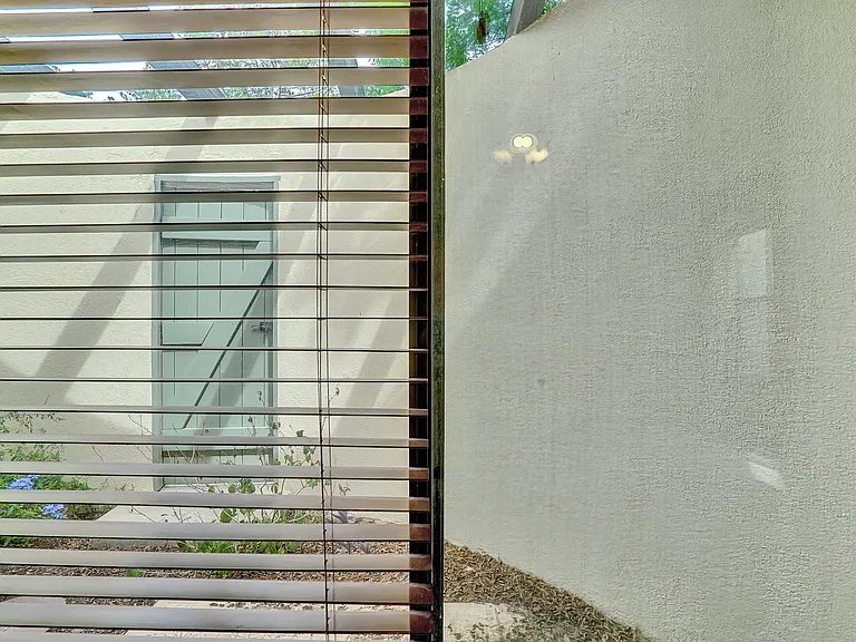 6004 Pino Real Dr — Photo 29