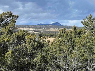 Mountain View Ln, Pie Town, NM, 87827