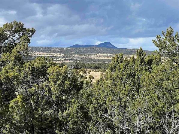 Mountain View Ln, Pie Town, NM 87827
