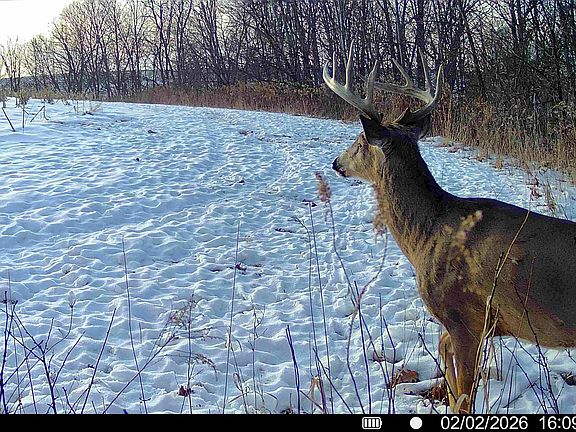 2nd image of County Rd E