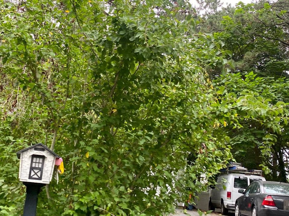 1st image of 24 Sandy Hollow Ct