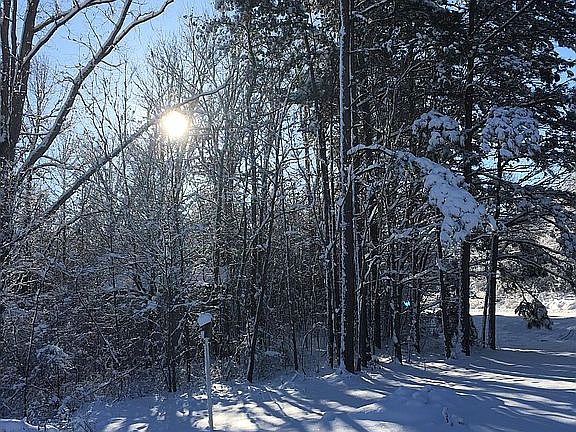 The sun that brief Dec. day.