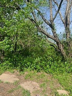 1st image of N Lone Star Pkwy