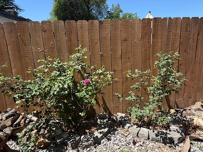 5926 Sierra Dr — Photo 27
