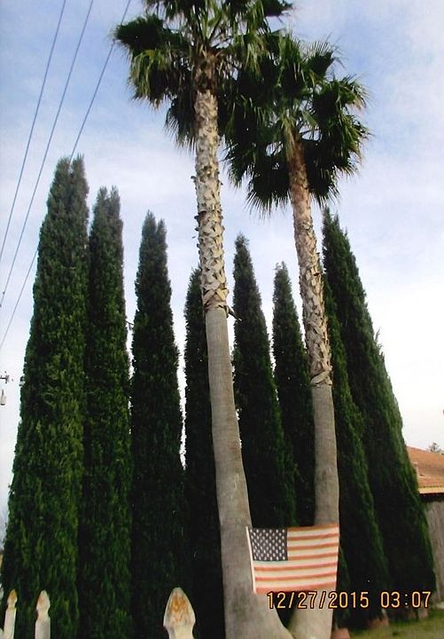 2nd image of 709 Overland Ave