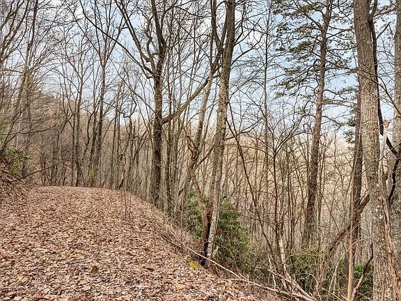 2nd image of 9 Shagbark Hickory Rdg Lot 9B