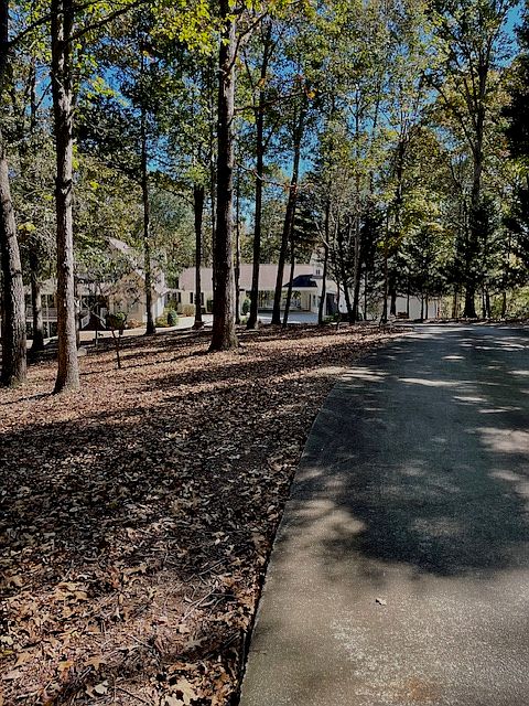 Halfway down the Driveway overlooking the Loft Apartment and Our Home