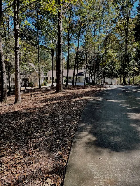Halfway down the Driveway overlooking the Loft Apartment and Our Home