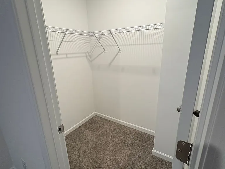 19 Napier Ct — Photo 20