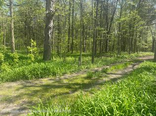 0 Chinook Ln, Lyons, MI 48851
