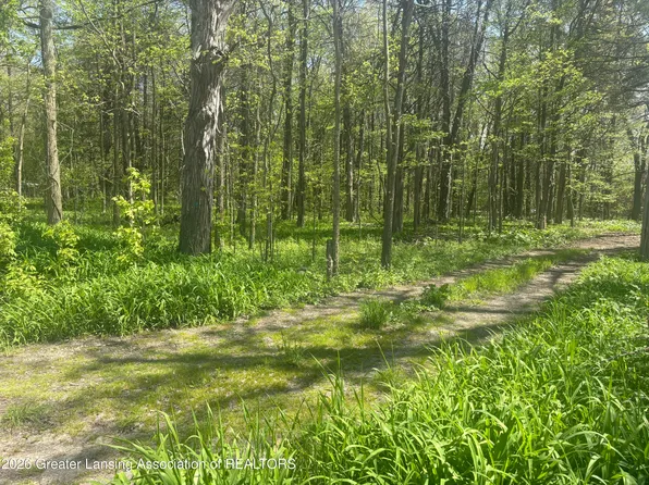 0 Chinook Ln, Lyons, MI 48851