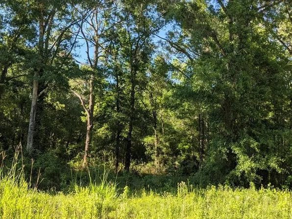 4927 Jonathan St #2, Hastings, FL 32145