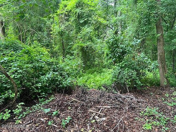 4th image of 0 Near 2680 Pine Log R Road