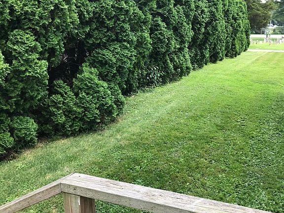 Rear yard