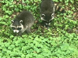 3393 Baptist Camp Rd, Connelly Springs, NC 28612