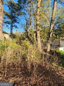 2130 Cavanaugh Ave, Atlanta, GA, 30316