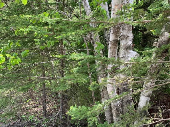 Lots 19/20 Collins St, Saint Ignace, MI 49781