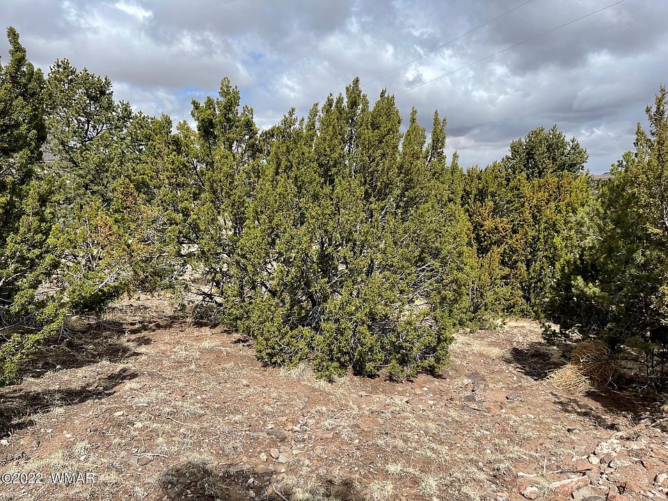 2nd image of Snowline Dr