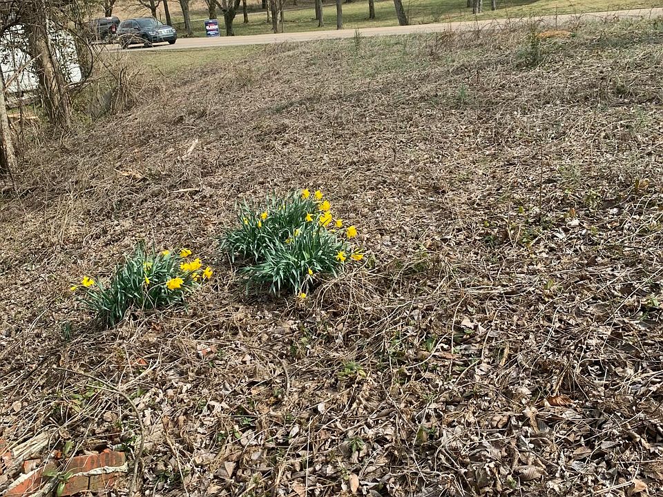 1st image of 2711 Cunningham Rd