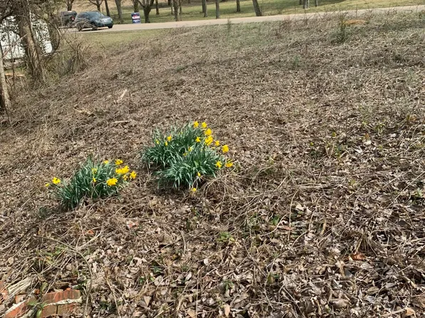 2711 Cunningham Rd, Knoxville, TN 37918