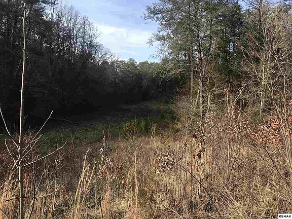 5th image of Gist Creek Cemetary Rd Lot 4803