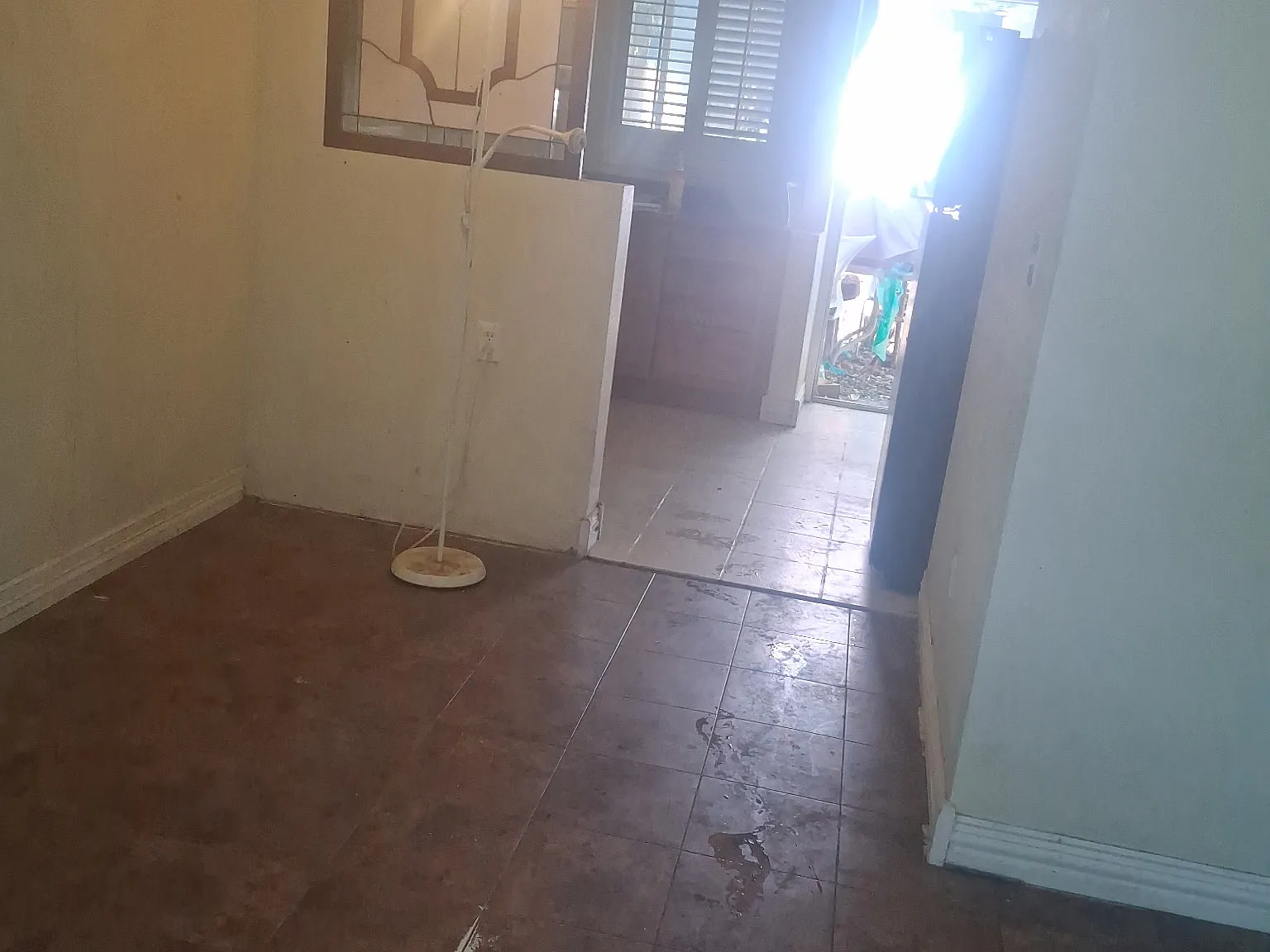 1 bed, 512 sqft, $1,300 — Photo 2