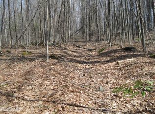 0 Mohawk Lake Rd, Stockbridge, MA 01262