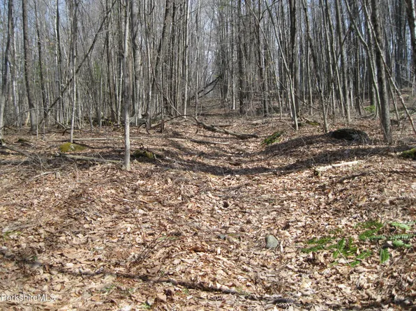 0 Mohawk Lake Rd, Stockbridge, MA 01262