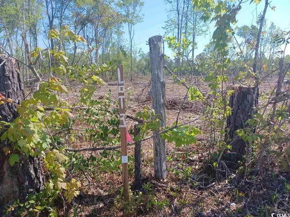 Tract 3 Luck Rd. #8.25 Acres, Nichols, SC 29581
