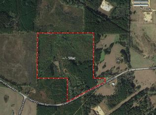 1030 Greens Creek Rd, Carson, MS 39427