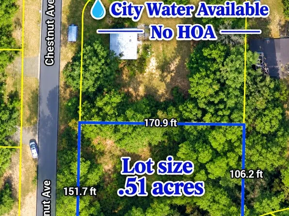 5324 CHESTNUT Avenue, Pace, FL 32571