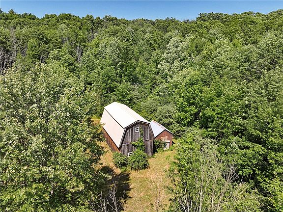 5th image of 3390 Beeman Hollow Rd
